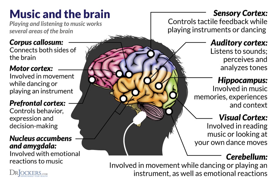 music and the brain