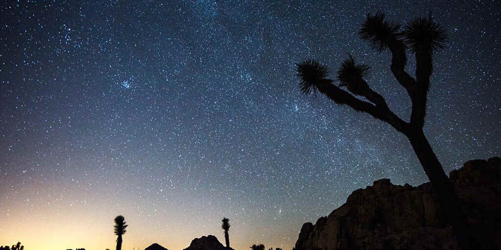 visit Joshua Tree Park